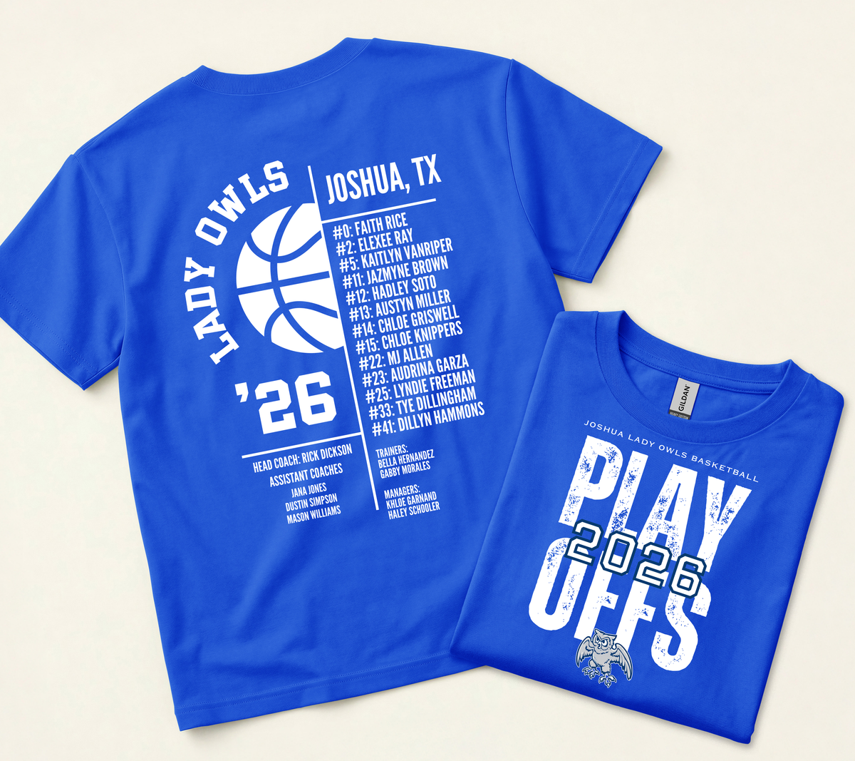 Lady Owls Basketball Playoffs Shirt